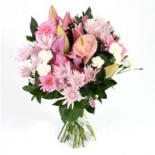 PERFECT  PINKS