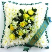 cushion