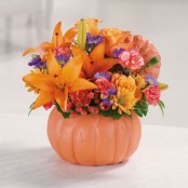 Pumkin Party  Arrangement