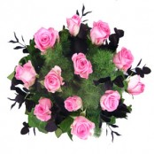 A DOZEN   PALE PINK  ROSES