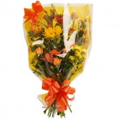 Traditional Cellophane