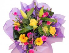 A Splash of Colour